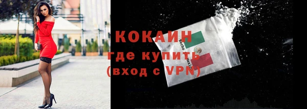 кокс Алексин