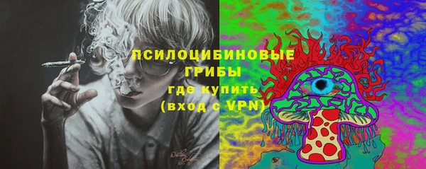 кокс Алексин