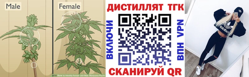 Дистиллят ТГК вейп  Апатиты 