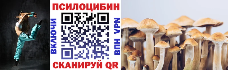 Галлюциногенные грибы Cubensis Апатиты