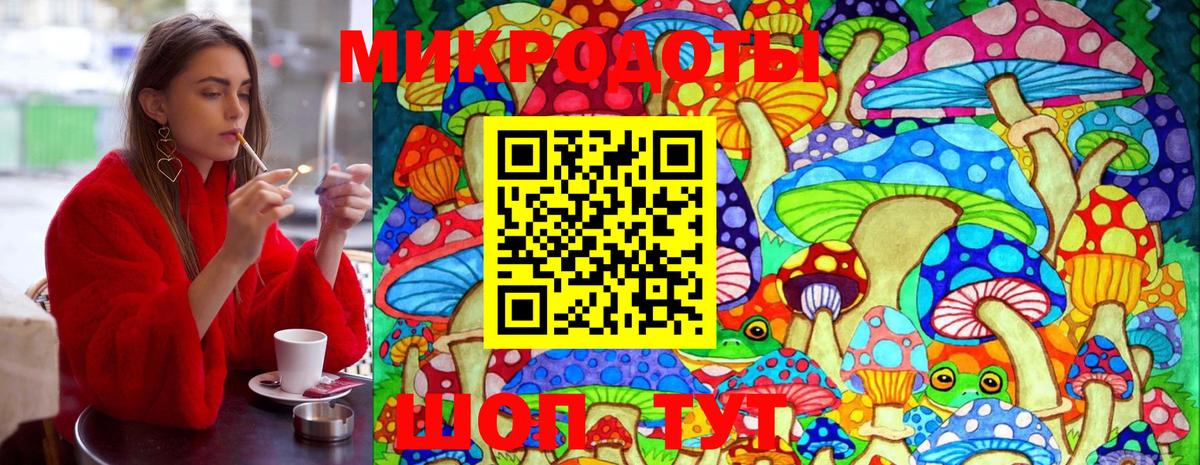 Галлюциногенные грибы ЛСД Апатиты