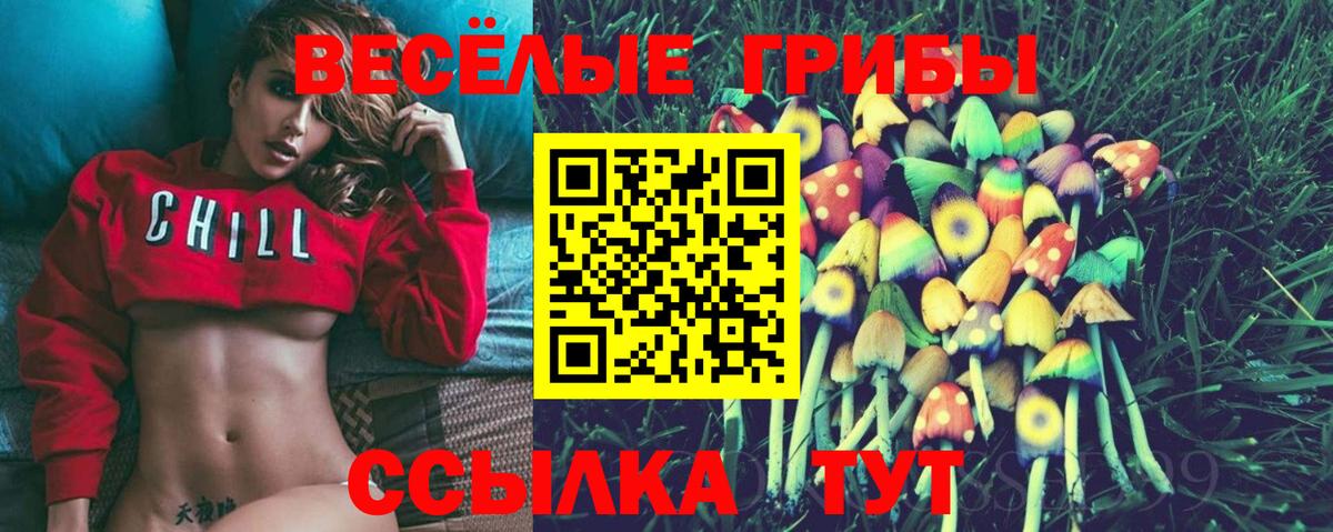 Галлюциногенные грибы Magic Shrooms  Вход с VPN  Псилоцибиновые грибы ЛСД  Апатиты 